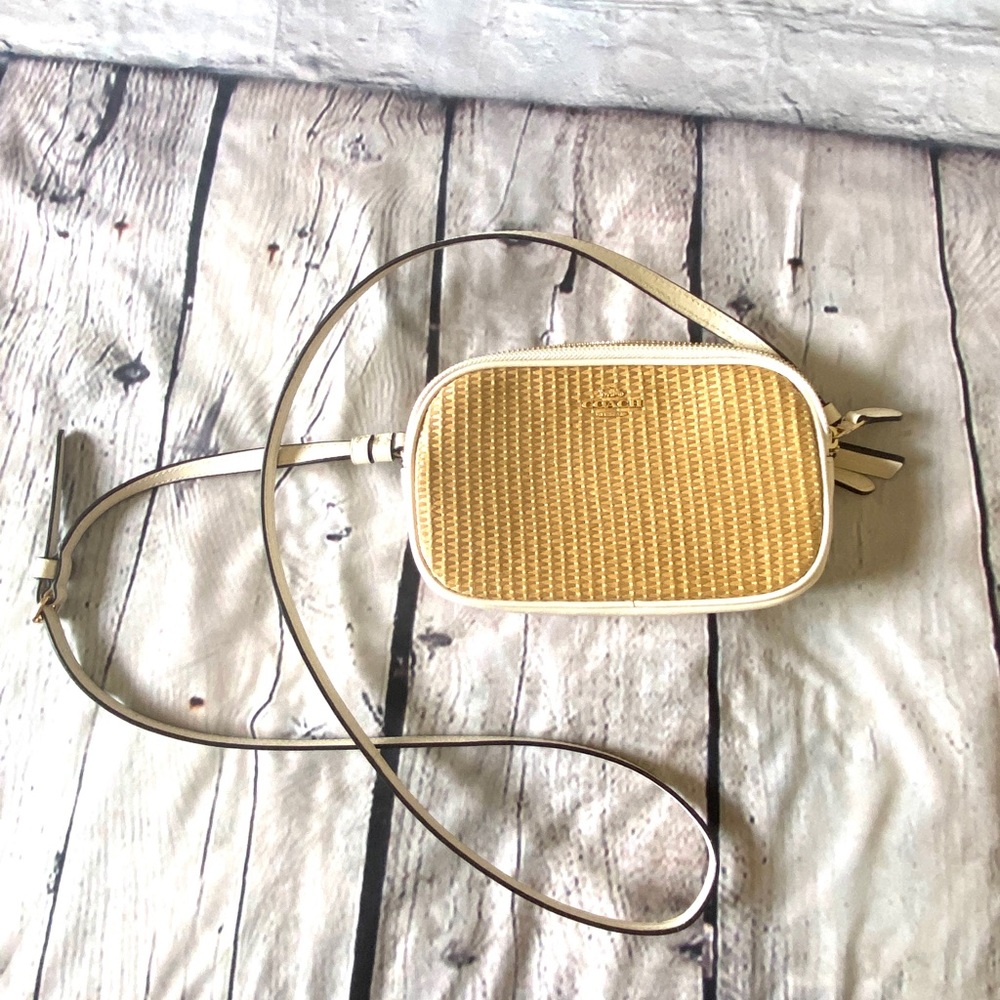Coach Straw Crossbody Bag